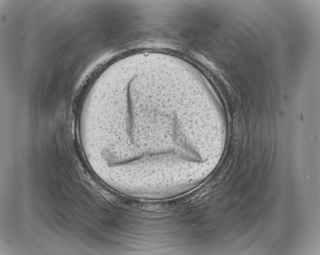 X0000085761408200704131726