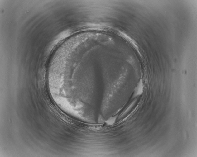 X0000085761411200704131726