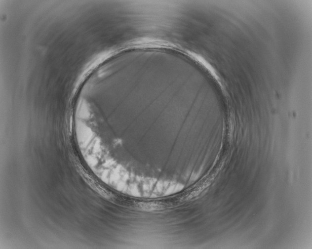 X0000085761413200704131726