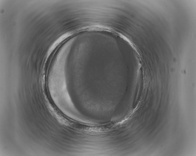 X0000085761418200704131726