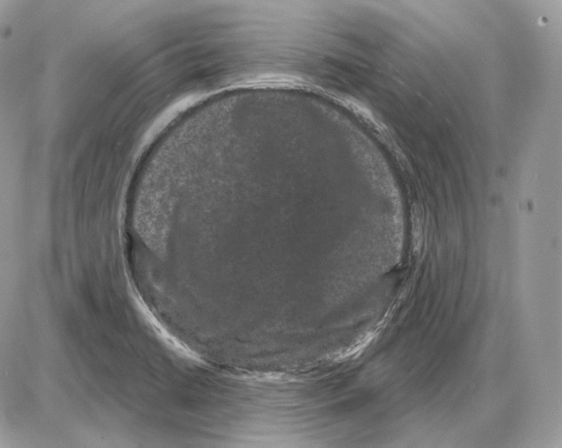 X0000085761422200704131726