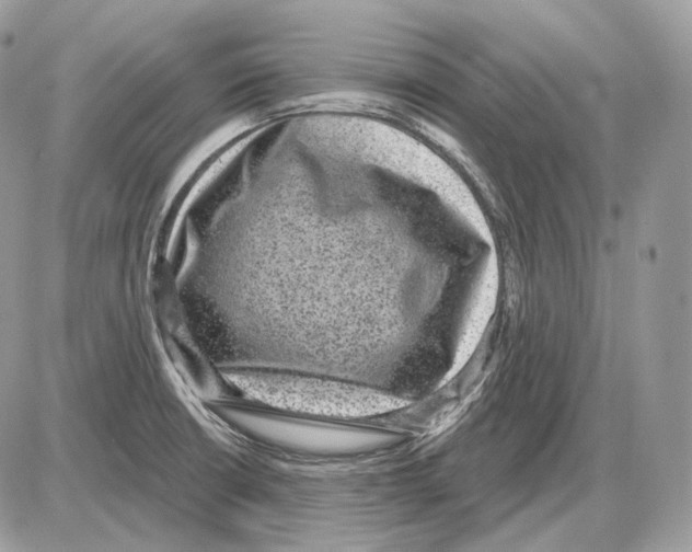 X0000085761426200704131726