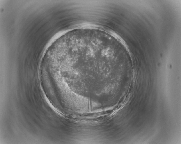 X0000085761429200704131726