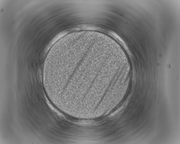X0000085761433200704131726