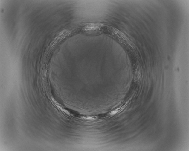 X0000085761441200704131725