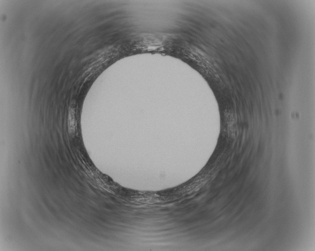 X0000085761442200704131725