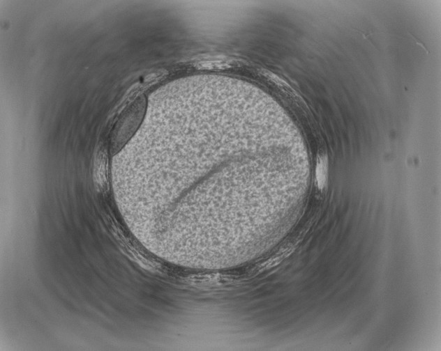 X0000085761444200704131725