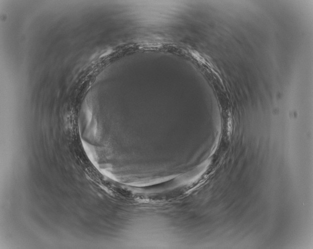 X0000085761445200704131725