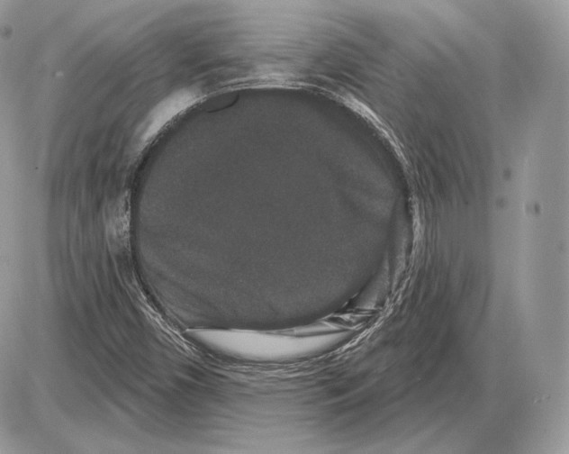 X0000085761450200704131725