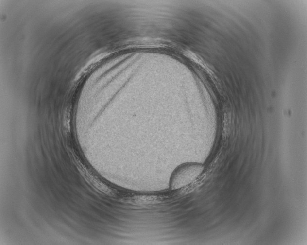 X0000085761451200704131725