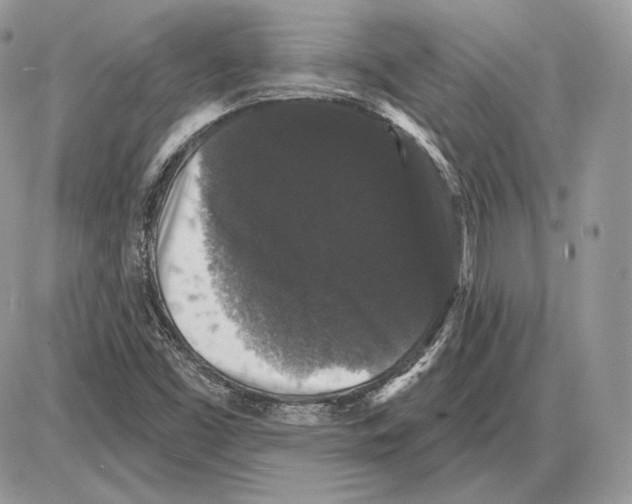 X0000085761453200704131725