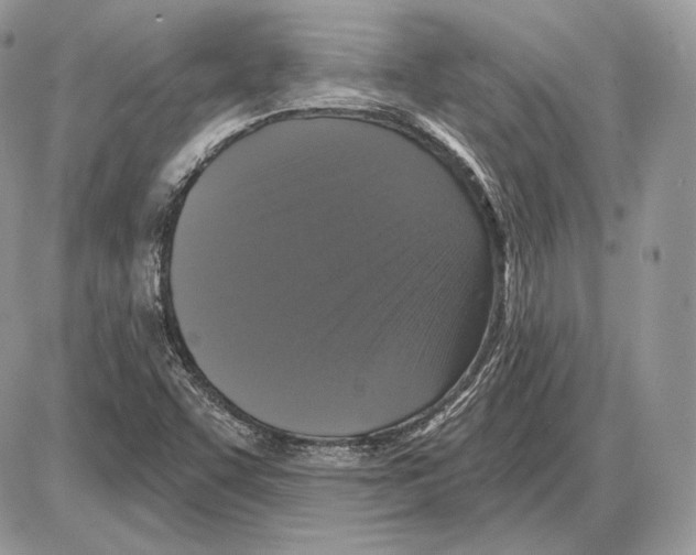 X0000085761455200704131725