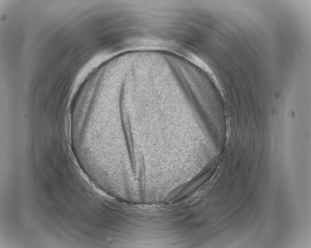 X0000085761472200704131725