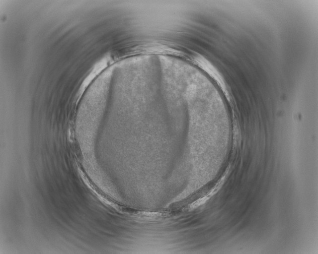 X0000085761481200704131725