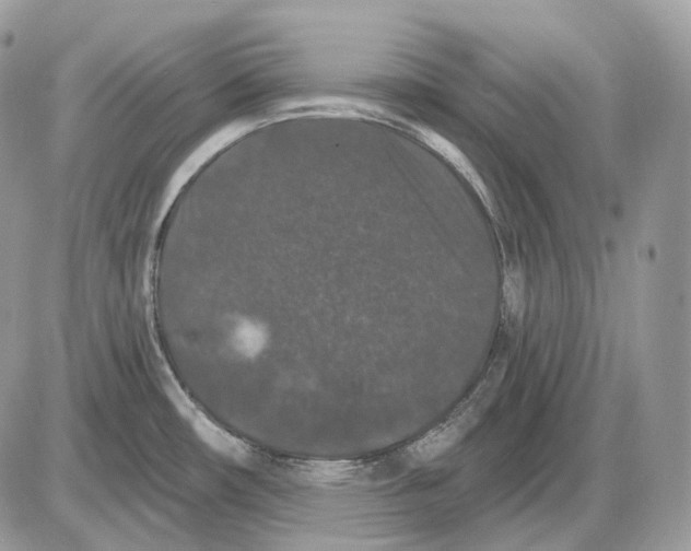 X0000085761482200704131725