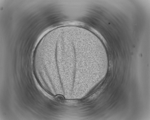X0000085761483200704131725