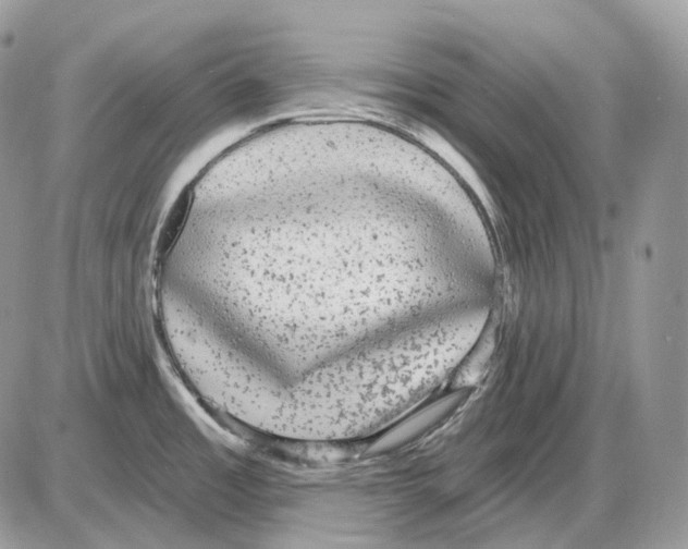 X0000085761485200704131725