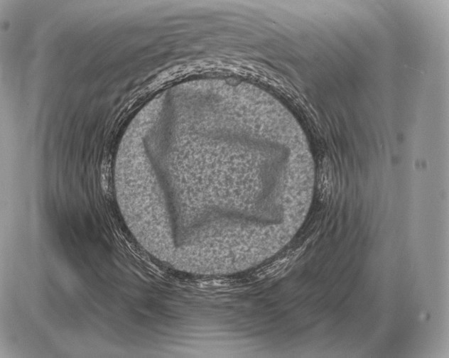 X0000085761490200704131724