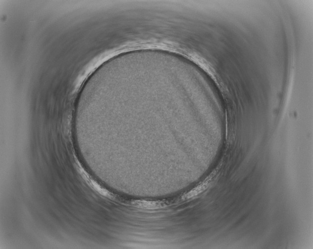 X0000085761500200704131724