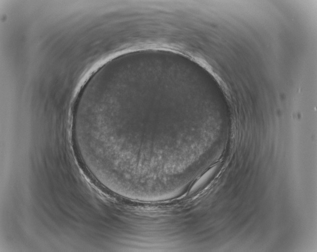 X0000085761508200704131724