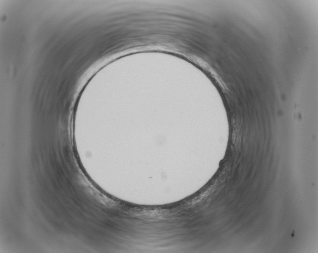 X0000085761516200704131724