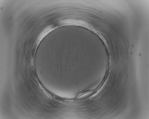 X0000085761529200704131725