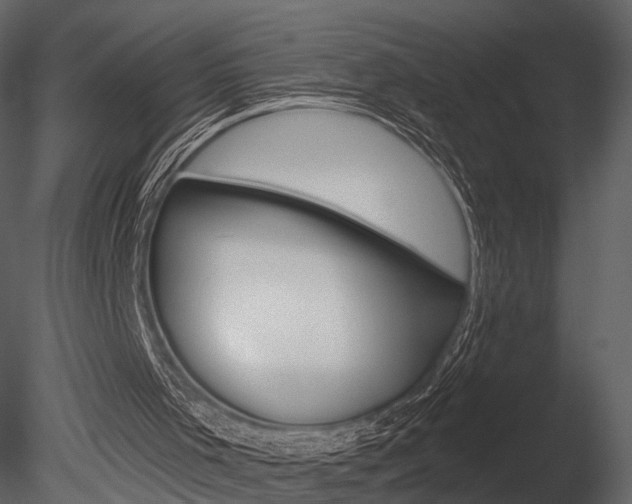 X0000085770001200703160945