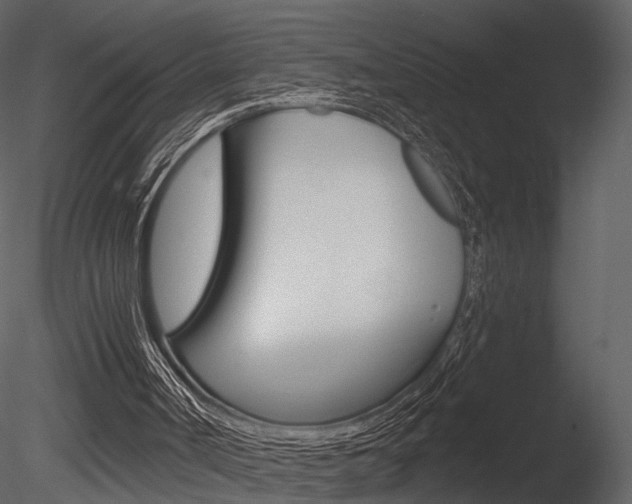 X0000085770002200703160945