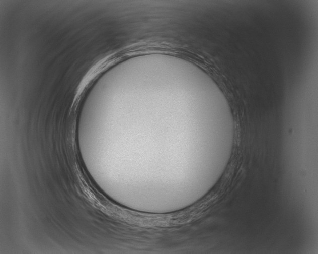 X0000085770004200703160945