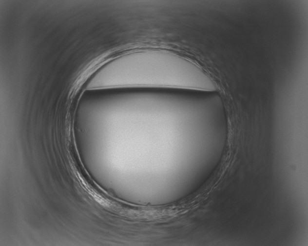 X0000085770005200703160945