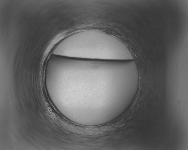 X0000085770006200703160945