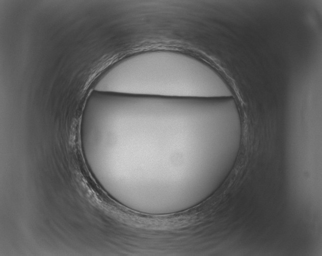 X0000085770010200703160945