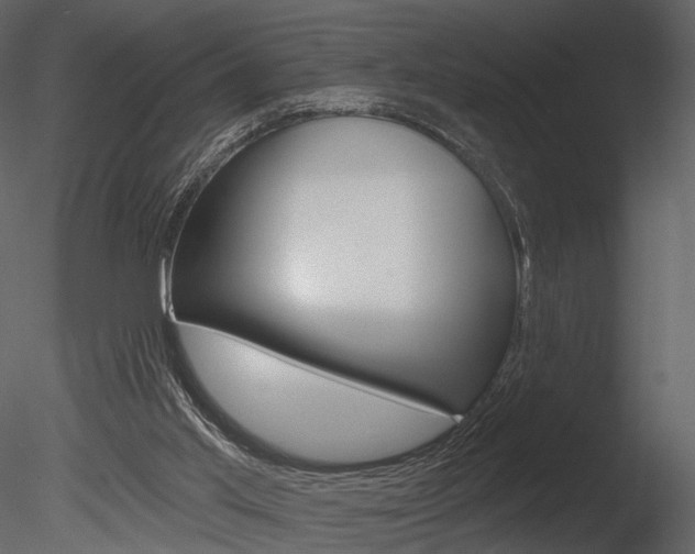 X0000085770013200703160945
