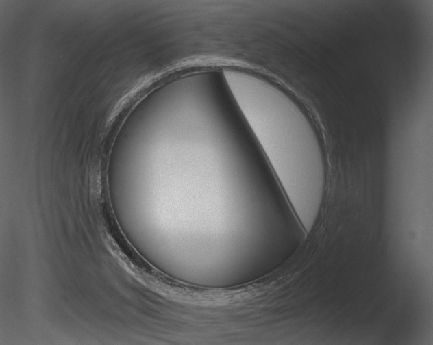 X0000085770015200703160945