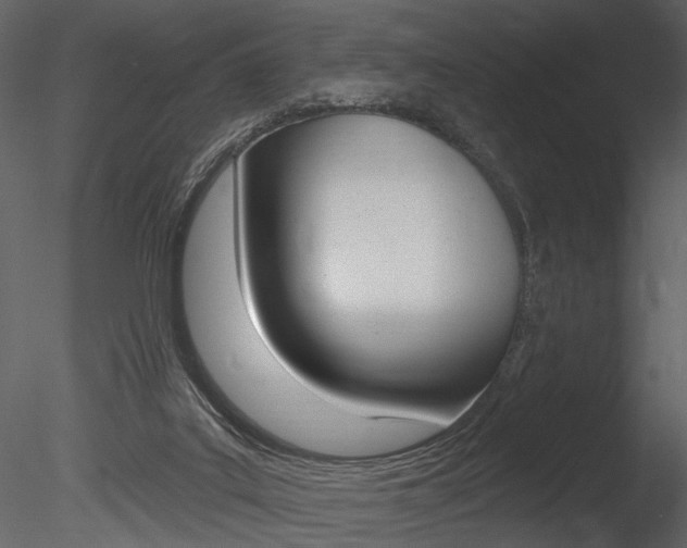 X0000085770019200703160945