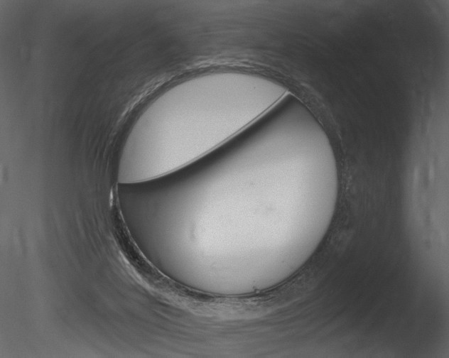 X0000085770020200703160945