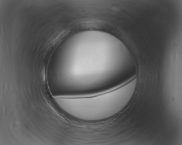 X0000085770021200703160945