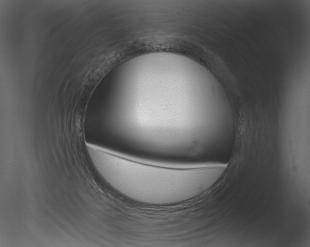 X0000085770025200703160944