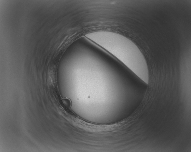 X0000085770035200703160944