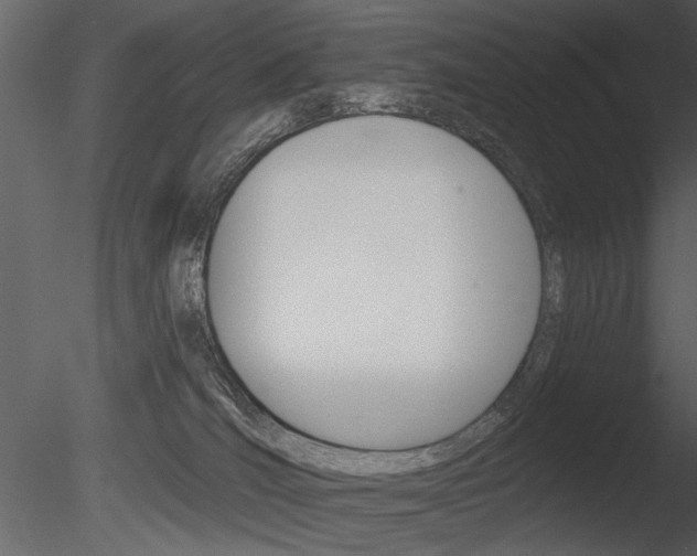 X0000085770036200703160944