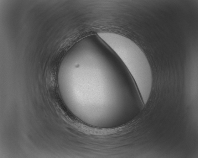 X0000085770039200703160944