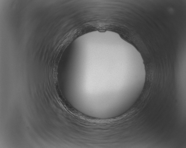 X0000085770044200703160944