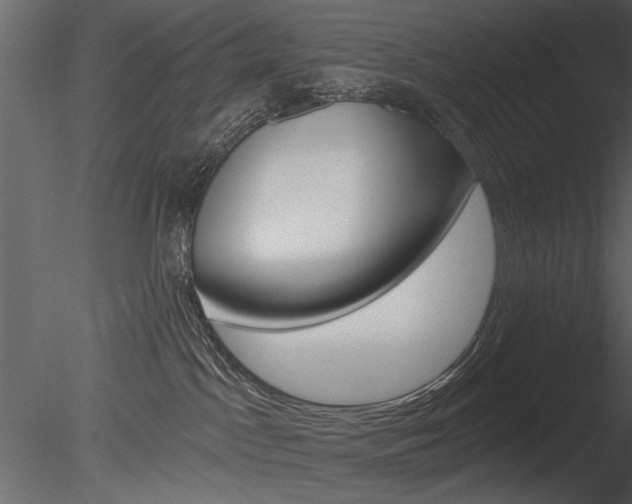 X0000085770045200703160944