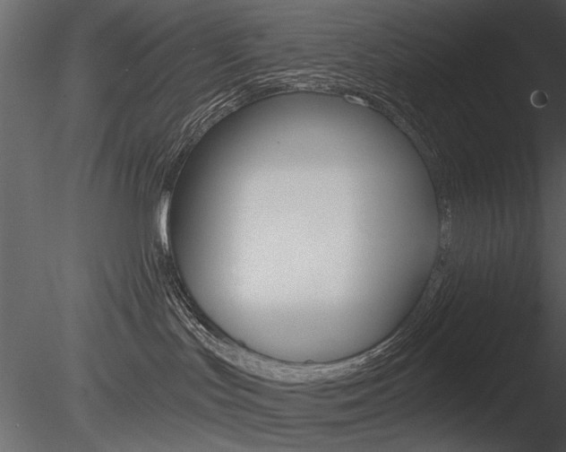 X0000085770047200703160944