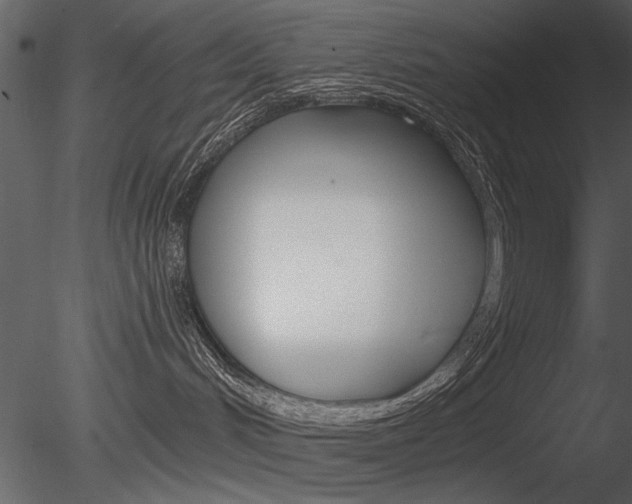 X0000085770048200703160944
