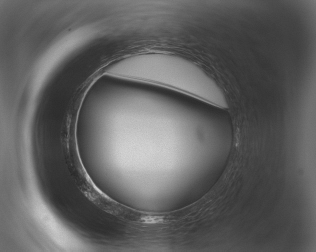 X0000085770052200703160943