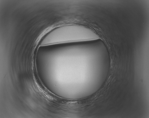 X0000085770054200703160943