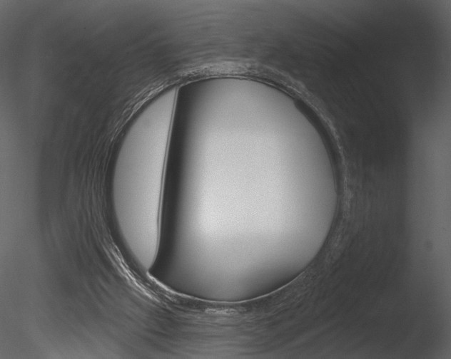 X0000085770057200703160943