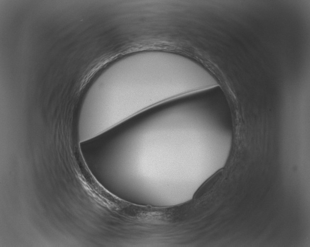 X0000085770058200703160943