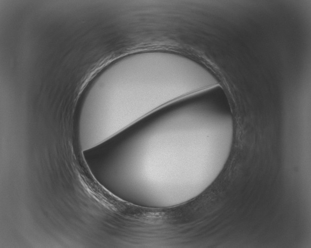 X0000085770059200703160943